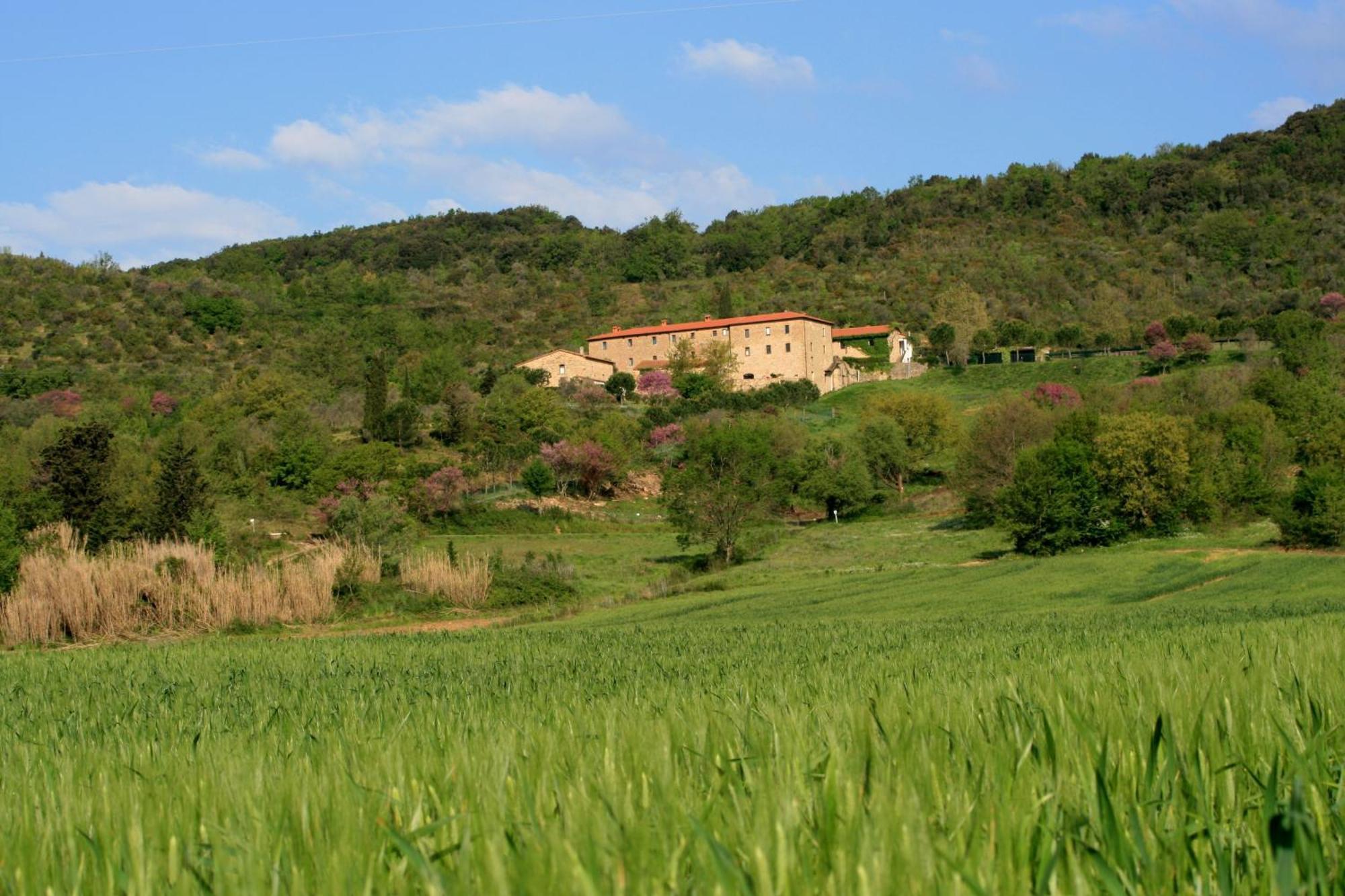 Agriturismo San Ottaviano Monterotondo  エクステリア 写真