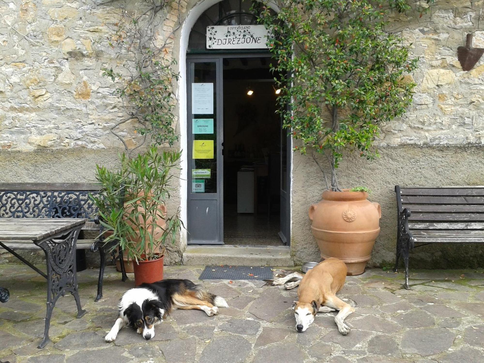 Agriturismo San Ottaviano Monterotondo  エクステリア 写真